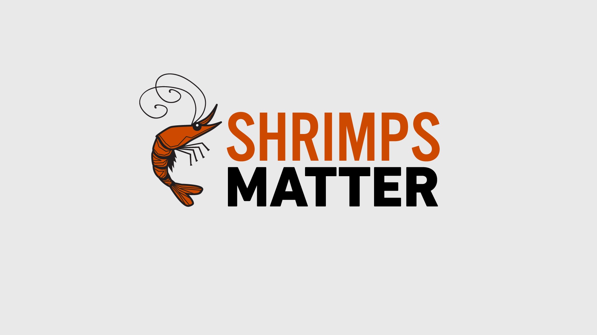 Shrimps matter gallery 3
